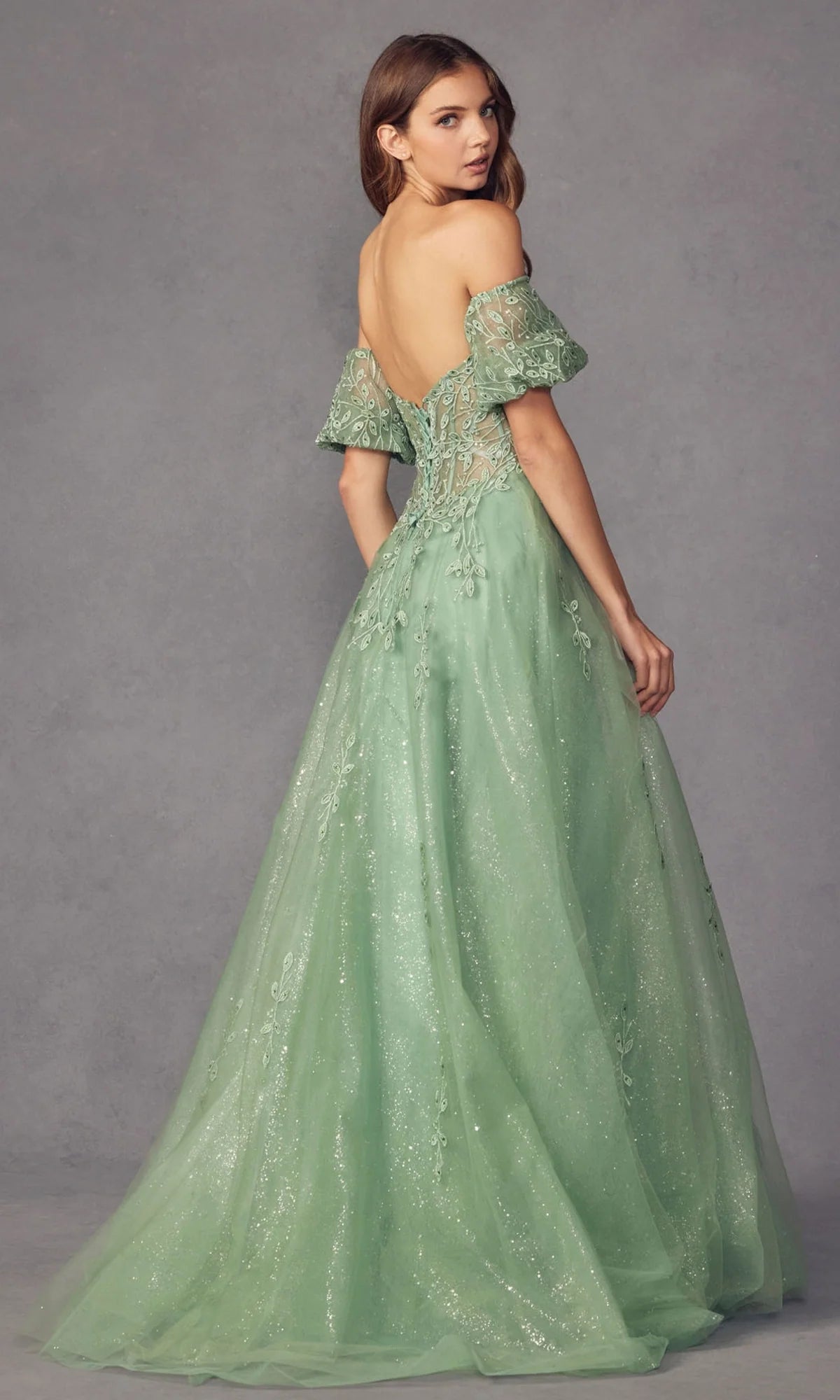 Romantic A-Line Plunging V-Neck Puff Sleeve Tulle Floor Length Prom Dress