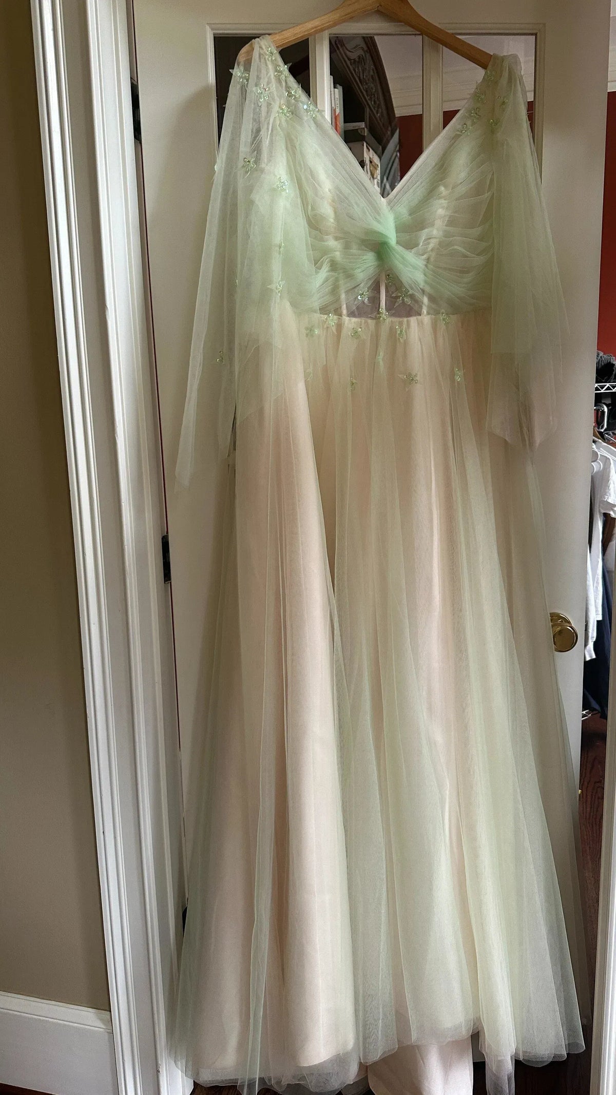 Romantic Tulle A-Line V-Neck Long-Sleeve Lace-Up Back Floor-Length Prom Dress