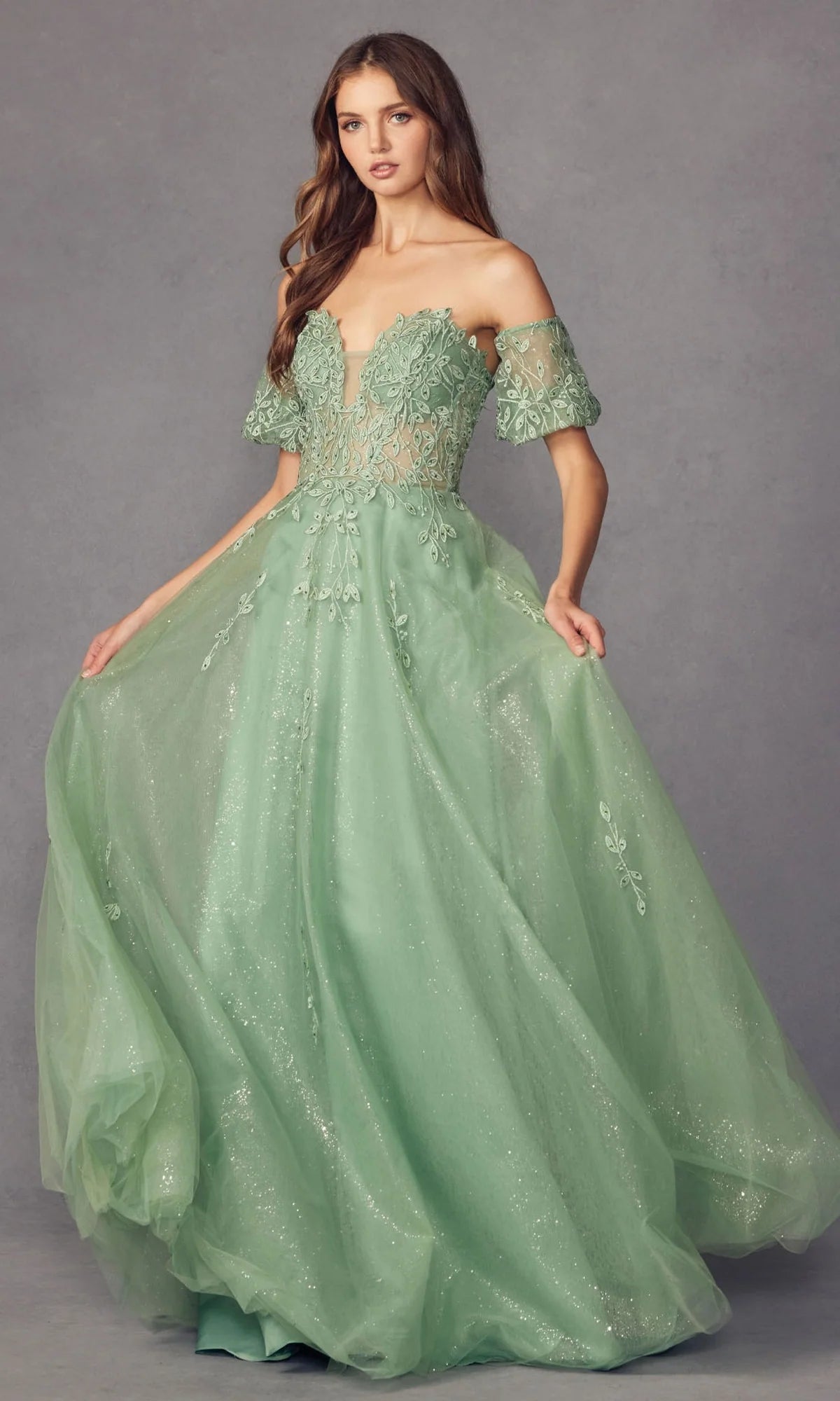 Romantic A-Line Plunging V-Neck Puff Sleeve Tulle Floor Length Prom Dress