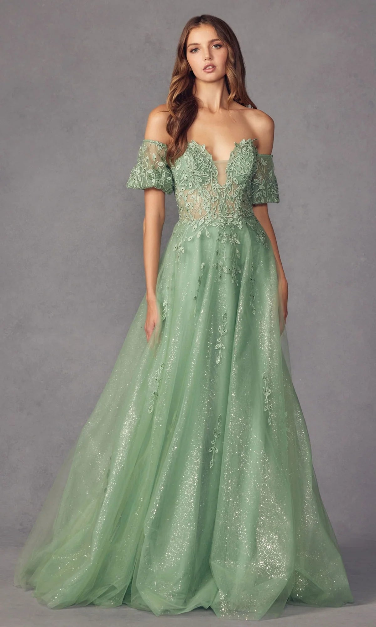 Romantic A-Line Plunging V-Neck Puff Sleeve Tulle Floor Length Prom Dress