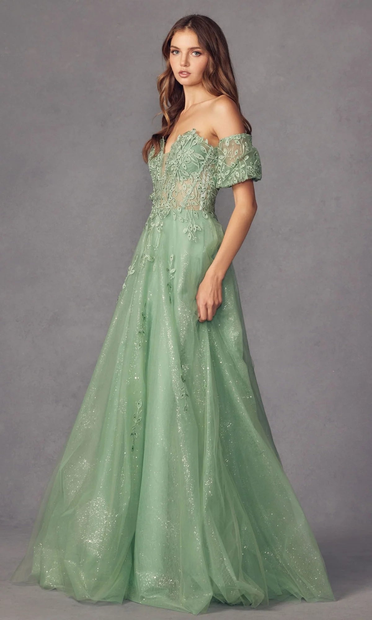 Romantic A-Line Plunging V-Neck Puff Sleeve Tulle Floor Length Prom Dress