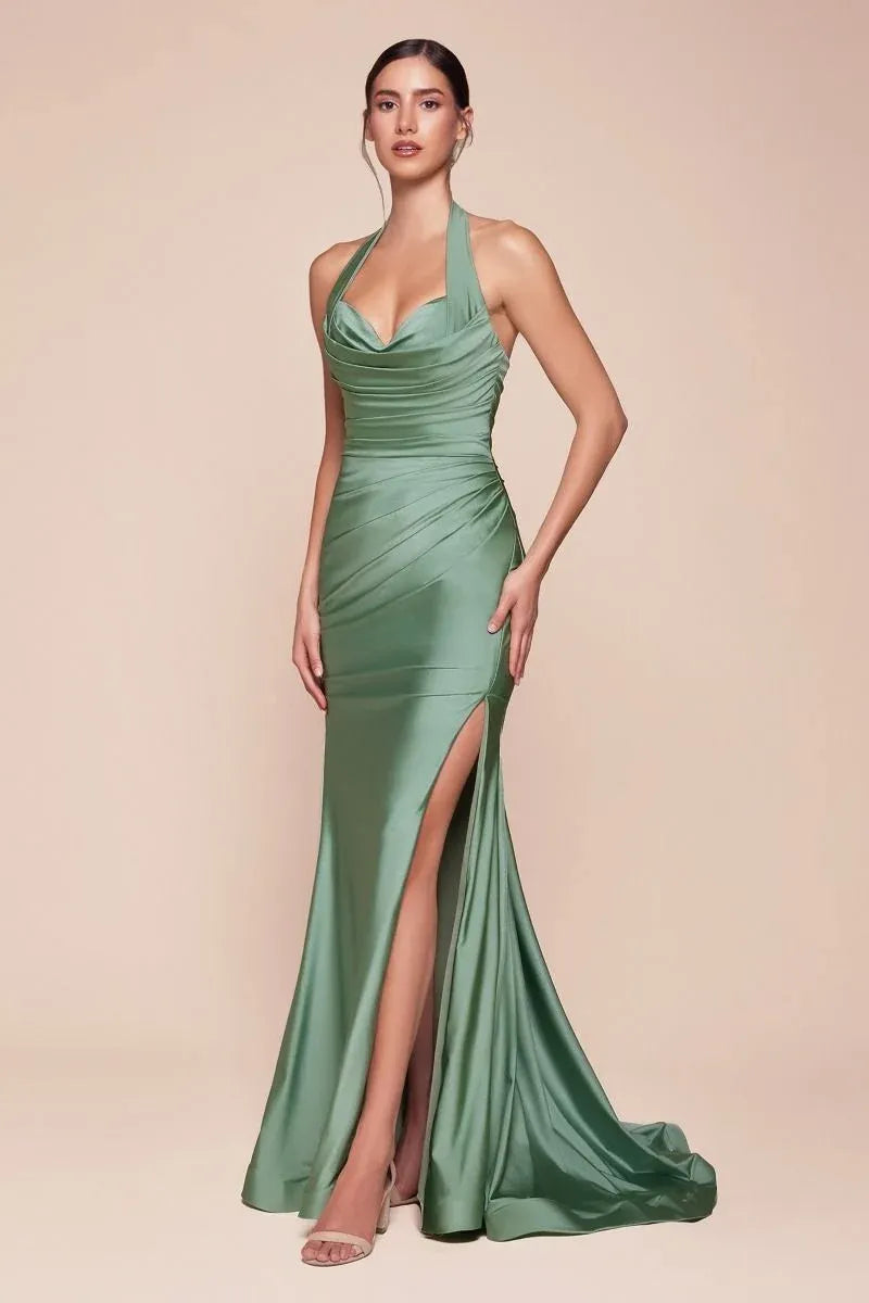 Elegant Sheath Cowl Neck Halter Open Back Floor-Length Evening Dress