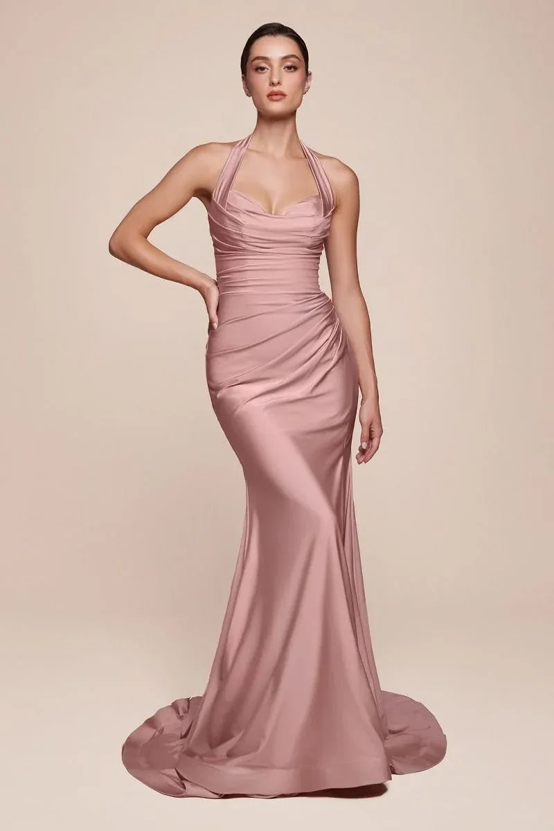 Elegant Sheath Cowl Neck Halter Open Back Floor-Length Evening Dress