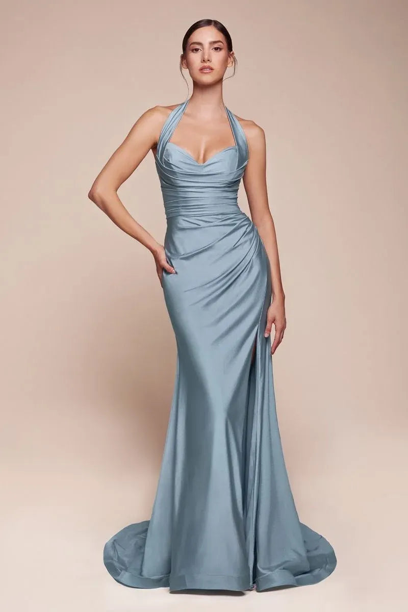 Elegant Sheath Cowl Neck Halter Open Back Floor-Length Evening Dress