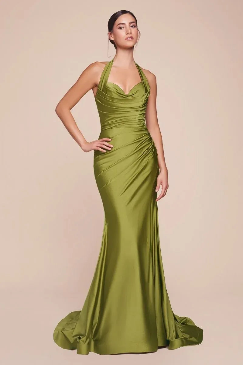 Elegant Sheath Cowl Neck Halter Open Back Floor-Length Evening Dress