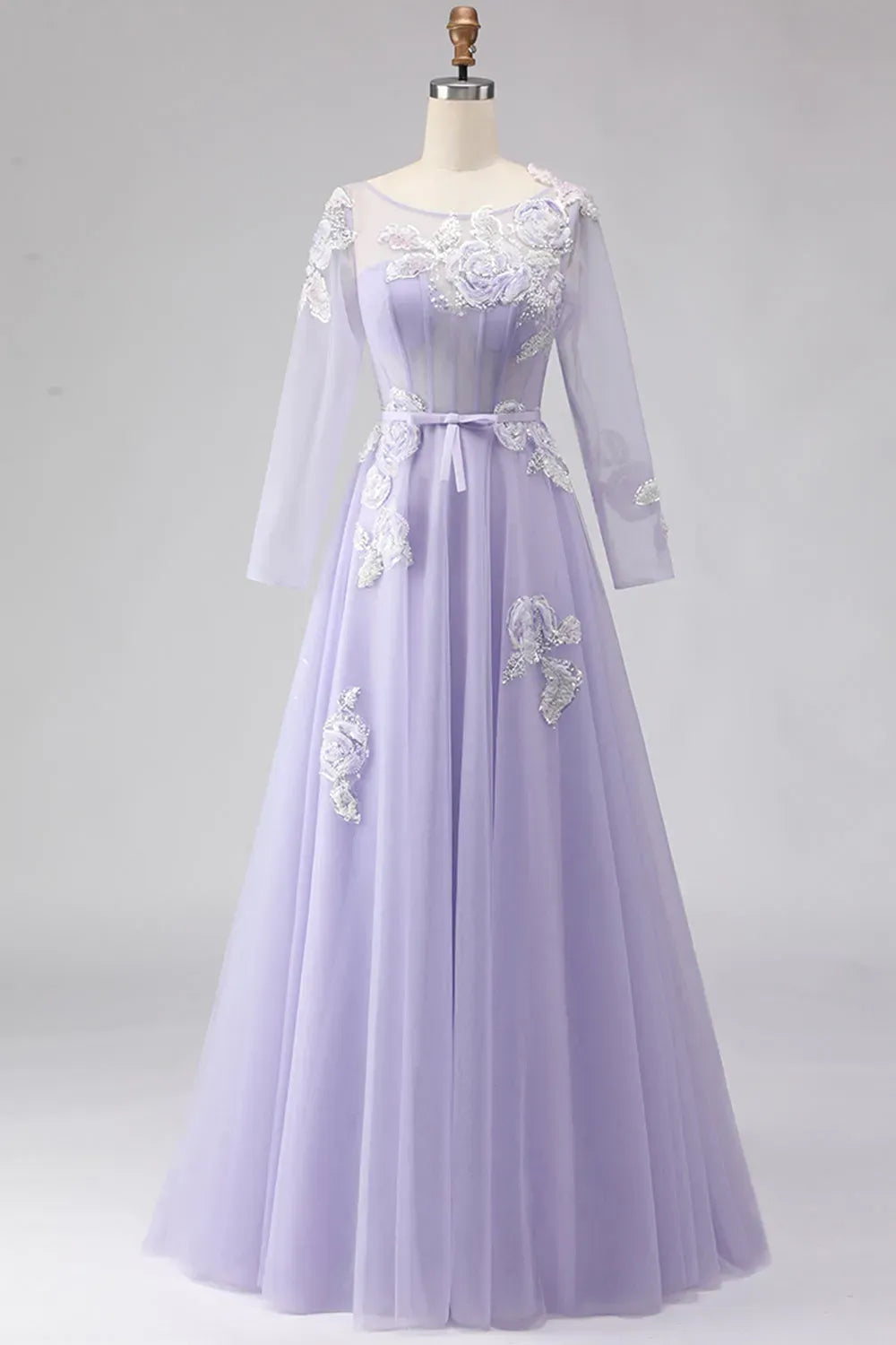 Romantic A-Line Illusion Neckline Long Sleeve Zipper Back Floor Length Prom Dress
