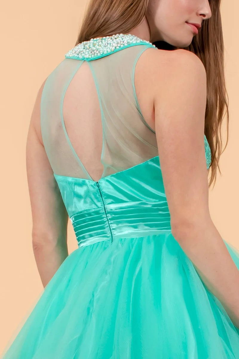 Charming A-Line Illusion-Neck Sleeveless Keyhole-Back Tulle Mini Homecoming Dress