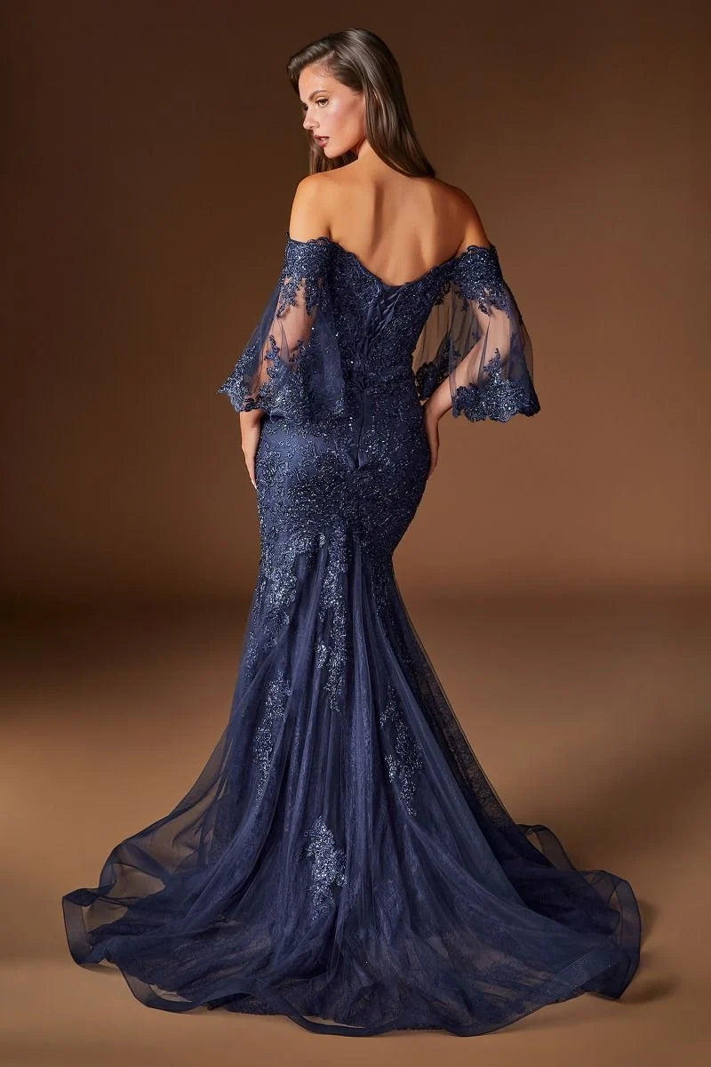 Elegant Mermaid Sweetheart Off-Shoulder Lace V-Back Mother of Bride Dress