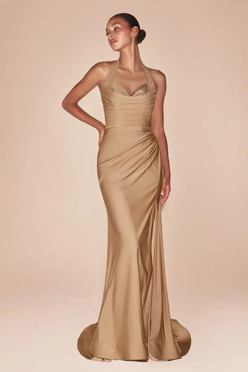 Elegant Sheath Cowl Neck Halter Open Back Floor-Length Evening Dress