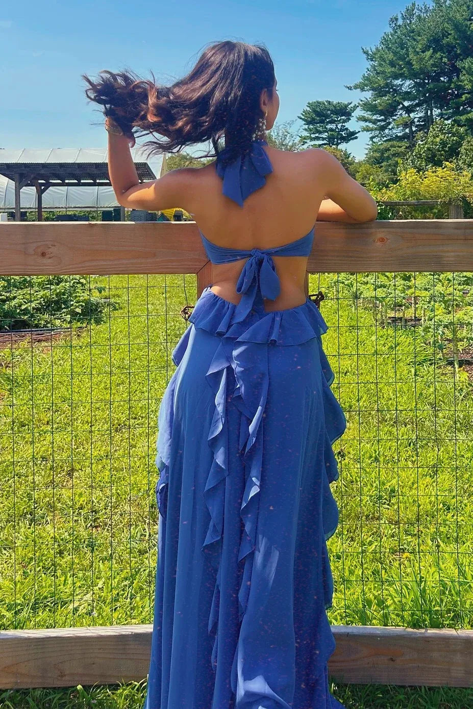 Romantic A-Line Halter Neck Sleeveless Tie-Back Floor-Length Prom Dress