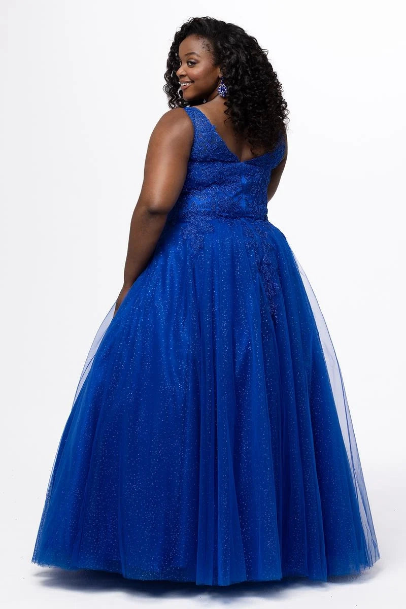 Elegant Plus Size A Line V Neck Sleeveless Tulle Floor Length Prom Dress